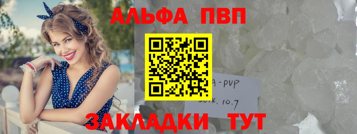 A PVP СК КРИС Балтийск