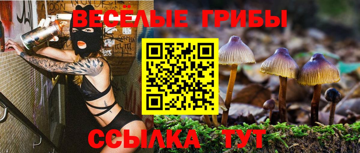 Галлюциногенные грибы мухоморы Балтийск