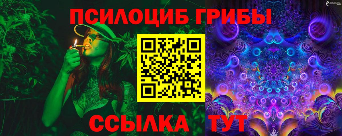 Балтийск  Галлюциногенные грибы Magic Shrooms  Вход с VPN 
